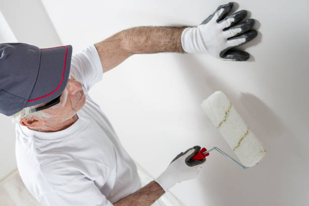 Mold Documentation for Insurance Claims in Mount Repose, OH