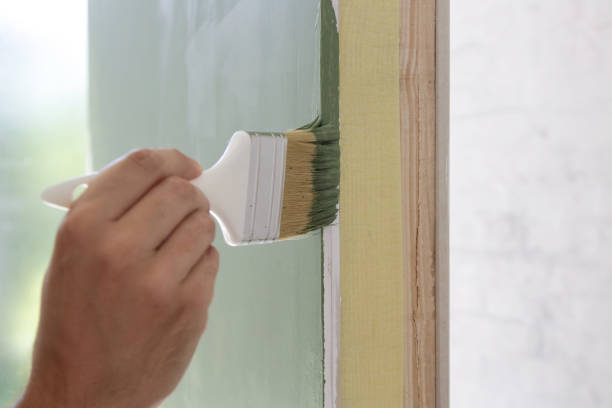 Best Mold Damage Restoration  in Mount Repose, OH