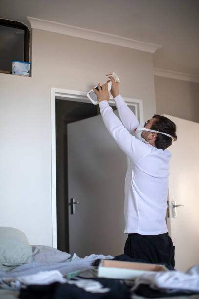 Best Mold Odor Removal Services  in Mount Repose, OH