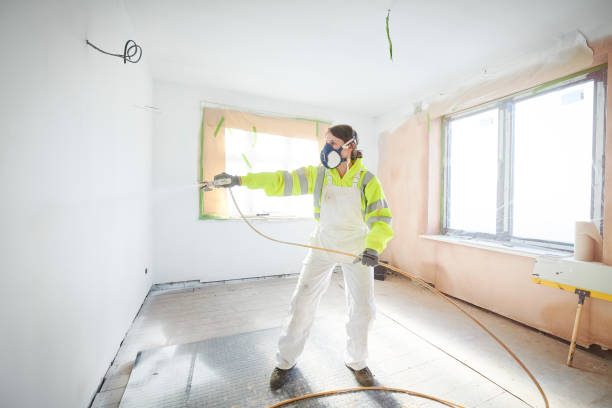 Best Attic Mold Removal  in Mount Repose, OH